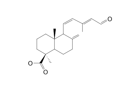 15-Oxolabda-8(17),11(Z),13(E)-trien-19-oic Acid