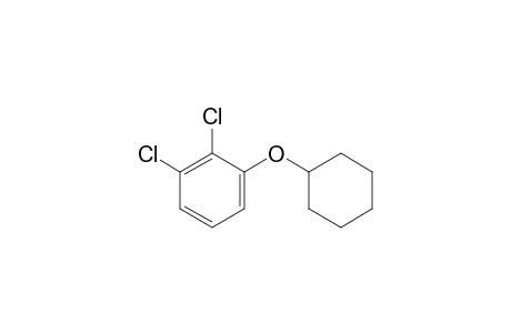 2,3-Dichlorophenyl cyclohexyl ether