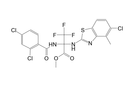 2-[(5-chloro-4-methyl-1,3-benzothiazol-2-yl)amino]-2-[(2,4-dichlorobenzoyl)amino]-3,3,3-trifluoro-propionic acid methyl ester