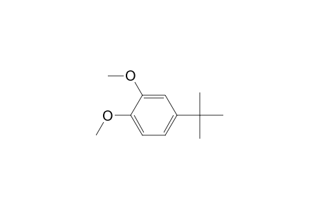 4-(tert-Butyl)-1,2-dimethoxybenzene