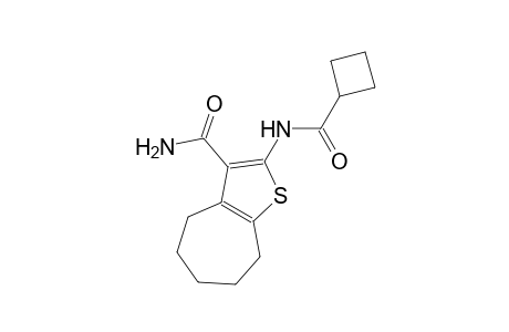 2-[(cyclobutylcarbonyl)amino]-5,6,7,8-tetrahydro-4H-cyclohepta[b]thiophene-3-carboxamide