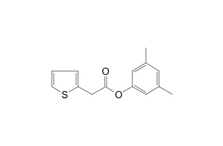 2-Thiopheneacetic acid, 3,5-dimethylphenyl ester