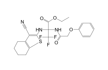 alanine, N-(3-cyano-4,5,6,7-tetrahydrobenzo[b]thien-2-yl)-3,3,3-trifluoro-2-[(phenoxyacetyl)amino]-, ethyl ester