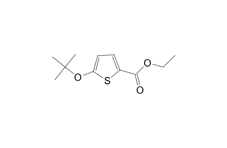 2-Thiophenecarboxylic acid, 5-(1,1-dimethylethoxy)-, ethyl ester