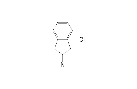 2-Aminoindan hydrochloride