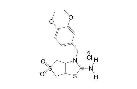 3-(3,4-dimethoxybenzyl)tetrahydrothieno[3,4-d]thiazol-2(3H)-iminium 5,5-dioxide chloride