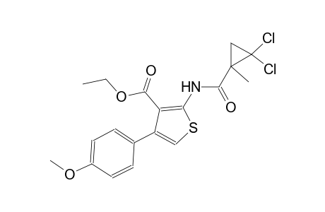 ethyl 2-{[(2,2-dichloro-1-methylcyclopropyl)carbonyl]amino}-4-(4-methoxyphenyl)-3-thiophenecarboxylate