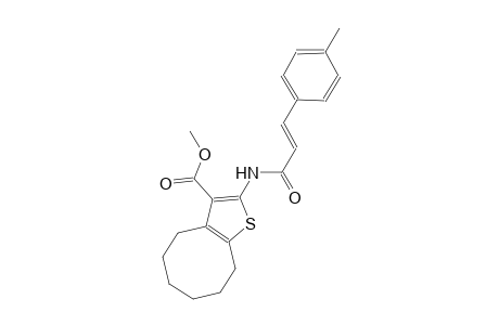 methyl 2-{[(2E)-3-(4-methylphenyl)-2-propenoyl]amino}-4,5,6,7,8,9-hexahydrocycloocta[b]thiophene-3-carboxylate