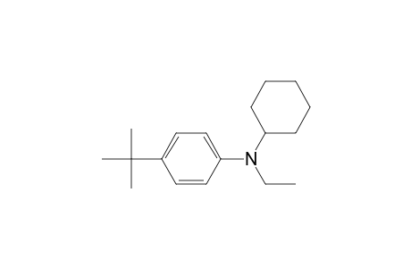 (4-tert-butylphenyl)-cyclohexyl-ethyl-amine