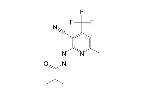 N'-[3-cyano-6-methyl-4-(trifluoromethyl)-2-pyridyl]-2-methyl-propionohydrazide