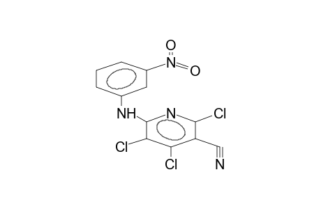 6-(META-NITROPHENYLAMINO)TRICHLORO-3-CYANOPYRIDINE