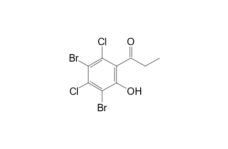 3',5'-dibromo-2',4'-dichloro-6'-hydroxypropiophenone