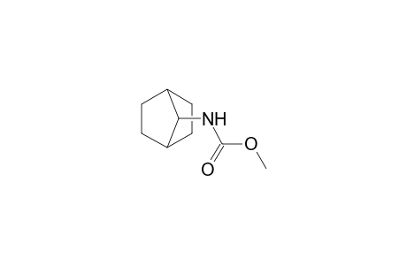7-(Methoxycarbonylamino)bicyclo[2.2.1]heptane