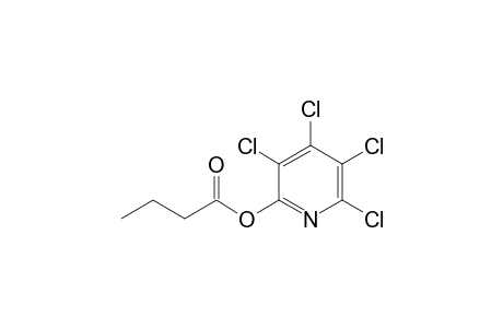 3,4,5,6-Tetrachloro-2-pyridyl butyrate