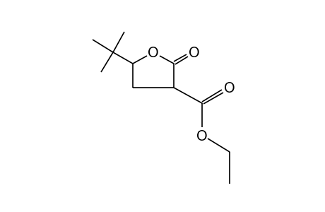 5-tert-butyl-2-oxotetrahydro-3-furoic acid, ethyl ester