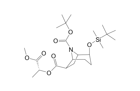 (S)-1-(Methoxycarbonyl)ethyl 8-(tert-Butoxycarbonyl)-2-exo-[(tert-butyldimethylsilyl)oxy]-8-azabicyclo[3.2.1]octane-6-exo-carboxylate