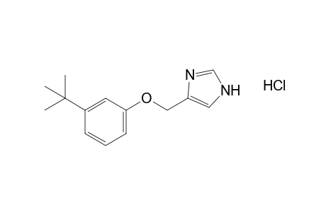 4-[(m-tert-butylphenoxy)methyl]imidazole, monohydrochloride