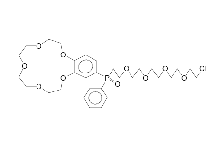 4-(PHENYL-14-CHLORO-3,6,9,12-TETRAOXATETRADECYLPHOSPHORYL)BENZO-15-CROWN-5