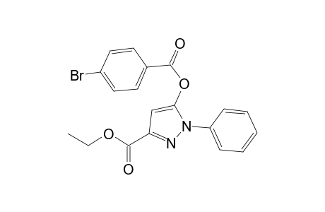 Ethyl 5-[4-bromo(benzoyl)oxy]-1-phenyl-1H-pyrazole-3-carboxylate