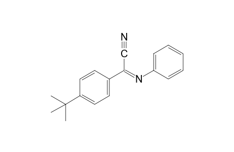 (p-tert-butylphenyl)(phenylimino)acetonitrile