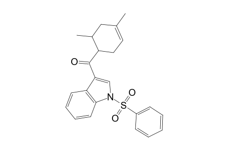 1-Phenylsulfonyl-3-((4',6'-dimethyl-3-cyclohexenyl)carbonyl)-indole