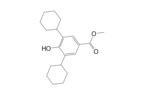Benzoic acid, 3,5-dicyclohexyl-4-hydroxy-, methyl ester