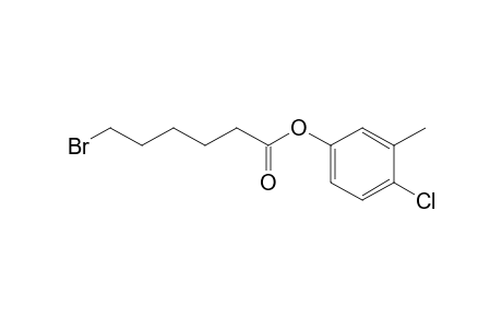 6-Bromocaproic acid, 3-methyl-4-chlorophenyl ester