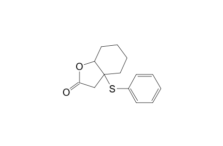 2(3H)-Benzofuranone, hexahydro-3a-(phenylthio)-