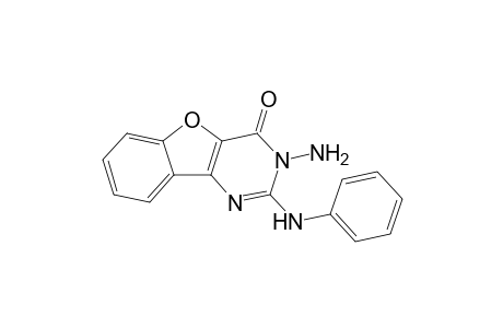 2-[Phenylamino]-3-aminobenzofuro[3,2-d]pyrimidin-4(3H)-one