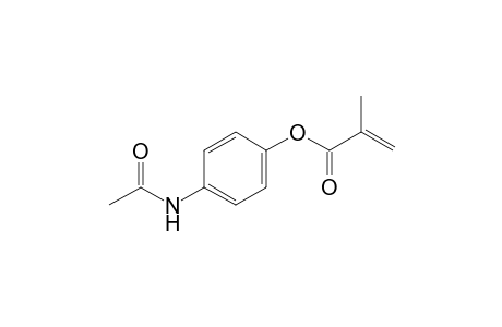 Acetaminophen Methacrylate