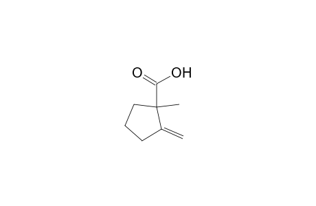 Cyclopentanecarboxylic acid, 1-methyl-2-methylene-