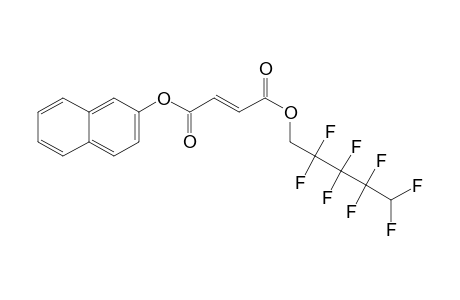 Fumaric acid, naphth-2-yl 2,2,3,3,4,4,5,5-octafluoropentyl ester