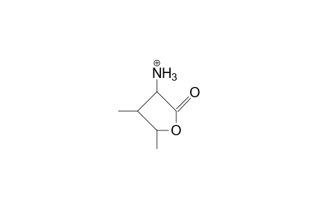 (2S,3R,4R)-2-Amino-3-methyl.gamma.-valerolacton cation