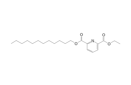 2,6-Pyridinedicarboxylic acid, dodecyl ethyl ester