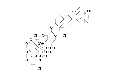 23-Hydroxy-protoprimulagenin-A