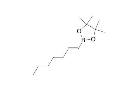(E)-2-(hept-1'-en-1'-yl)-4,4,5,5-tetramethyl-1,3,2-dioxaborolane