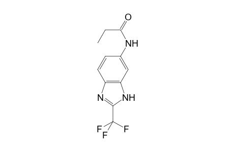 N-[2-(Trifluoromethyl)-1H-benzimidazol-6-yl]propanamide