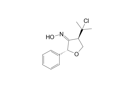 4(R*)-(1-chloro-1-methylethyl)-2(R*)-phenyldihydrofuran-3-one oxime