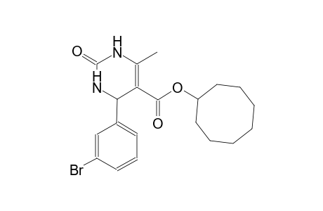 cyclooctyl 4-(3-bromophenyl)-6-methyl-2-oxo-1,2,3,4-tetrahydro-5-pyrimidinecarboxylate
