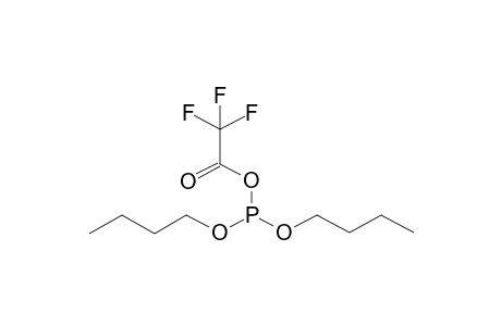 DIBUTYL(TRIFLUOROACETYL)PHOSPHITE