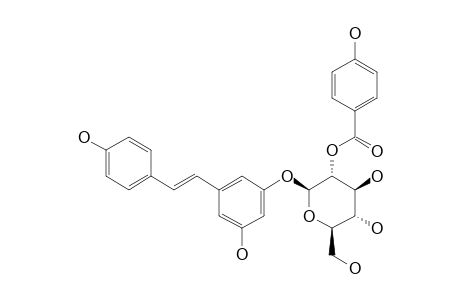 PICEID-2'-O-PARA-HYDROXYBENZOATE