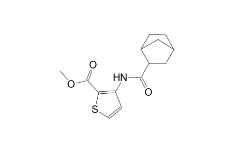 methyl 3-[(bicyclo[2.2.1]hept-2-ylcarbonyl)amino]-2-thiophenecarboxylate