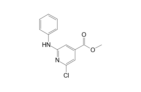 2-Chloro-6-phenylamino-isonicotinic acid methyl ester