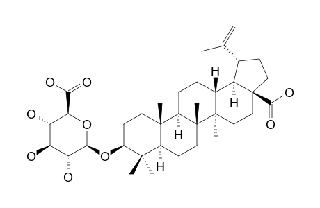 3-BETA-HYDROXYLUP-20(29)-EN-28-OIC-ACID-3-O-BETA-D-GLUCURONOPYRANOSIDE