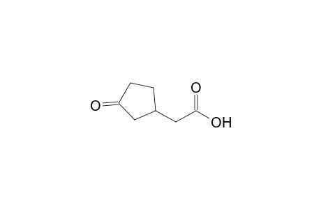 2-(3-Oxocyclopentyl)acetic acid