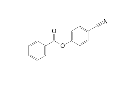 m-Toluic acid, 4-cyanophenyl ester