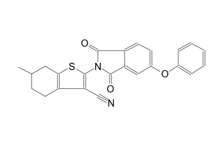 benzo[b]thiophene-3-carbonitrile, 2-(1,3-dihydro-1,3-dioxo-5-phenoxy-2H-isoindol-2-yl)-4,5,6,7-tetrahydro-6-methyl-