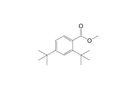 Methyl 2,4-ditert-butylbenzoate