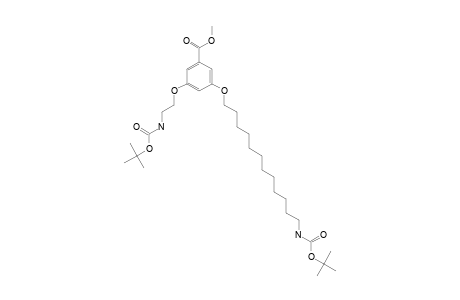 3-[12-(tert-butoxycarbonylamino)dodecoxy]-5-[2-(tert-butoxycarbonylamino)ethoxy]benzoic acid methyl ester