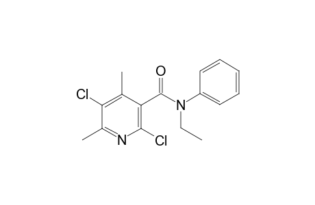 2,5-Dichloro-N-ethyl-4,6-dimethyl-N-phenyl-nicotinamide